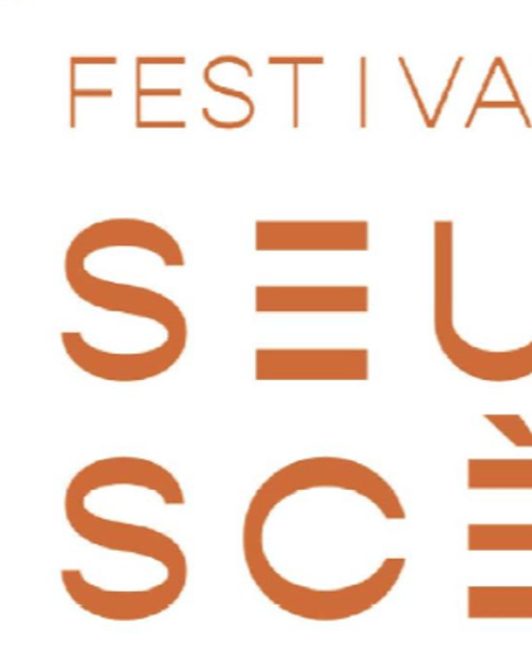 Festival Seul en Scène