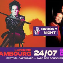 Ludivine Issambourg, Electro Deluxe