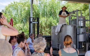 Visite guidée d'une distillerie de lavande