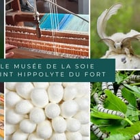 Visite commentée du Musée de la soie