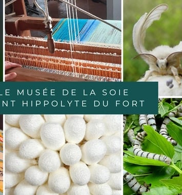 Visite commentée du Musée de la soie