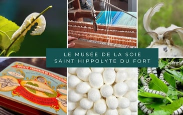Visite commentée du Musée de la soie