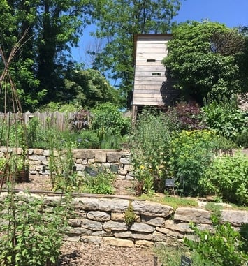 Visite guidée du jardin médiéval de l'abbaye de Cendras