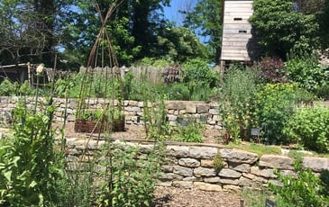 Visite guidée du jardin médiéval de l'abbaye de Cendras