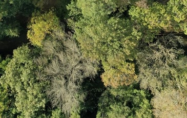 Découvrez l'archéosite de la porte de Sabran autour d'une énigmatique construction médiévale