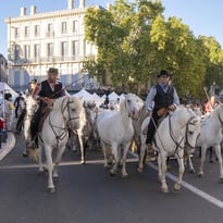 Visite commentée : « Histoire(s) de Ferias »