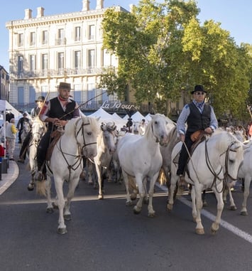 Visite commentée : « Histoire(s) de Ferias »