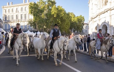 Visite commentée : « Histoire(s) de Ferias »