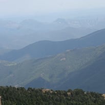 Conférence : défendre la forêt au XIXe siècle, une première histoire de développement durable