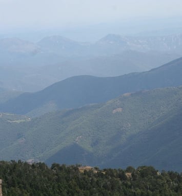 Conférence : défendre la forêt au XIXe siècle, une première histoire de développement durable