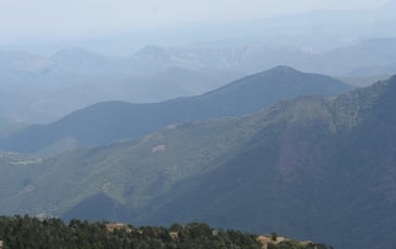 Conférence : défendre la forêt au XIXe siècle, une première histoire de développement durable