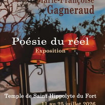 Marie Françoise Gagneraud, Variations autour des fenêtres