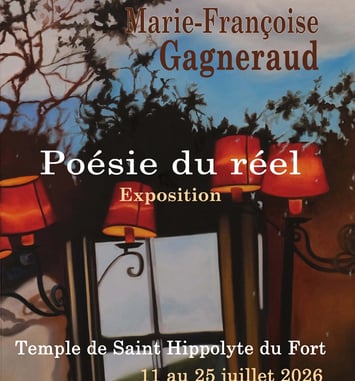 Marie Françoise Gagneraud, Variations autour des fenêtres