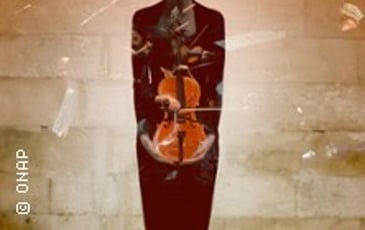 Orchestre National Avignon Provence — Beethoven : Concerto pour violon et Symphonie n°5