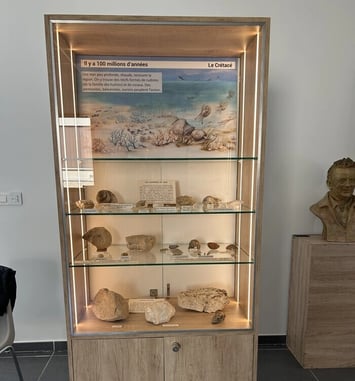 Visite des collections Saturnin Garimond