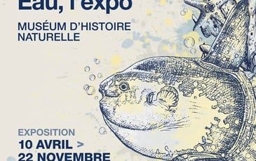 Exposition : « Eau, l'expo »