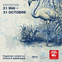 Exposition "Camargue, terre d'eau"