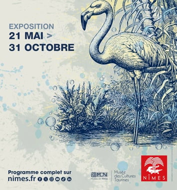Exposition "Camargue, terre d'eau"