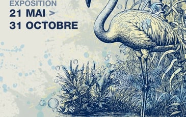 Exposition "Camargue, terre d'eau"