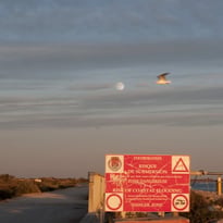 Conférence : évolution des paysages de Camargue