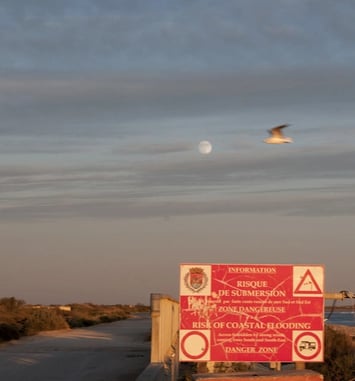 Conférence : évolution des paysages de Camargue