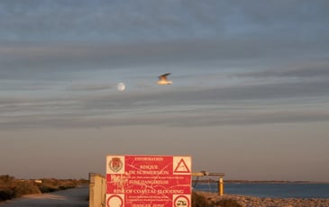 Conférence : évolution des paysages de Camargue
