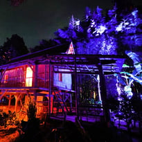 Arborescences : spectacle son et lumière