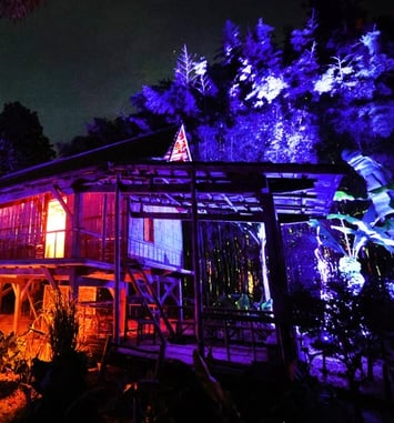 Arborescences : spectacle son et lumière