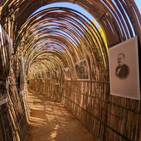 Exposition photo : L'héritage d'un jardin vivant