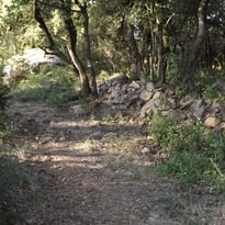 Visite guidée de la voie grecque à La Capelle-et-Masmolène