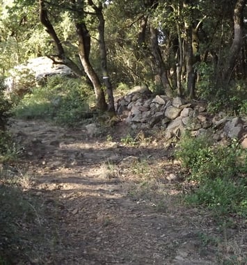 Visite guidée de la voie grecque à La Capelle-et-Masmolène