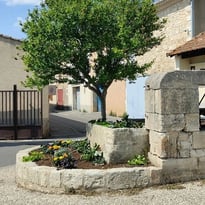 Des jardins vivriers au parc urbain : visite du parc André Lamy