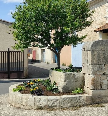 Des jardins vivriers au parc urbain : visite du parc André Lamy