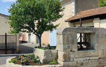Des jardins vivriers au parc urbain : visite du parc André Lamy