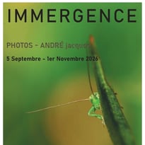 Immergence