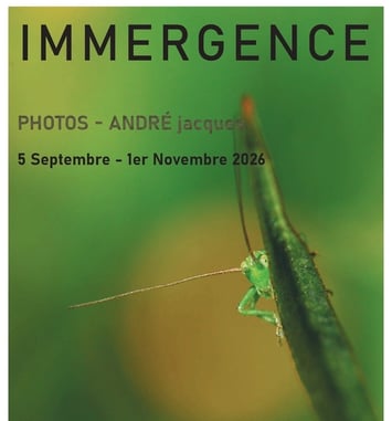 Immergence