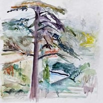 Exposition "Paysages" de Michel Steiner