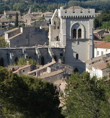 Visite libre : la collégiale Notre-Dame et son cloître