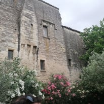 Visite commentée : histoire du palais de la Thurroye