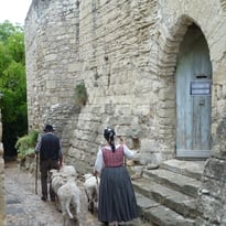 Animations traditionnelles dans les rues