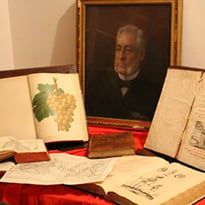 Émile Cazelles, l'homme derrière la médiathèque, Le fonds Cazelles ouvre ses portes