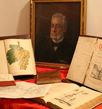 Émile Cazelles, l'homme derrière la médiathèque, Le fonds Cazelles ouvre ses portes