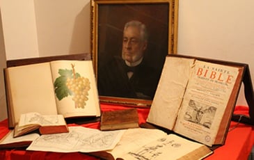 Émile Cazelles, l'homme derrière la médiathèque, Le fonds Cazelles ouvre ses portes