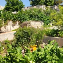 Visite libre du jardin ethnobotanique et d'acclimatation