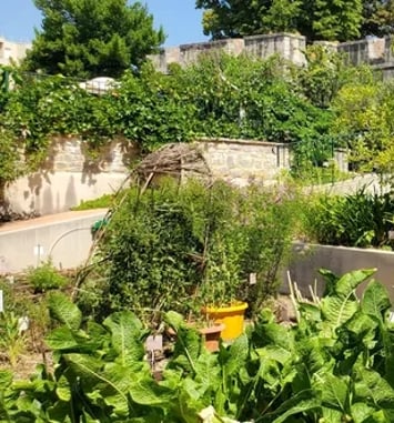 Visite libre du jardin ethnobotanique et d'acclimatation