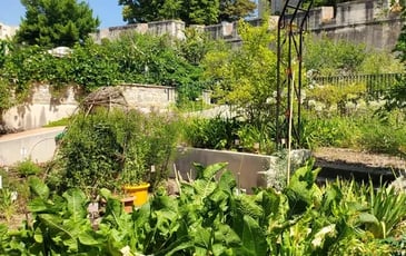 Visite libre du jardin ethnobotanique et d'acclimatation