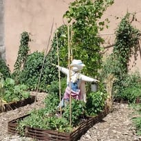 Sur les traces des savoir-faire oubliés
