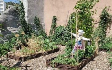 Sur les traces des savoir-faire oubliés