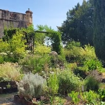 Visite commentée : jardin résiliant et adaptation au changement climatique