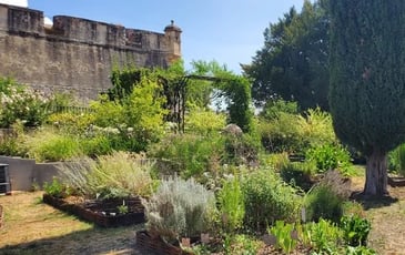 Visite commentée : jardin résiliant et adaptation au changement climatique
